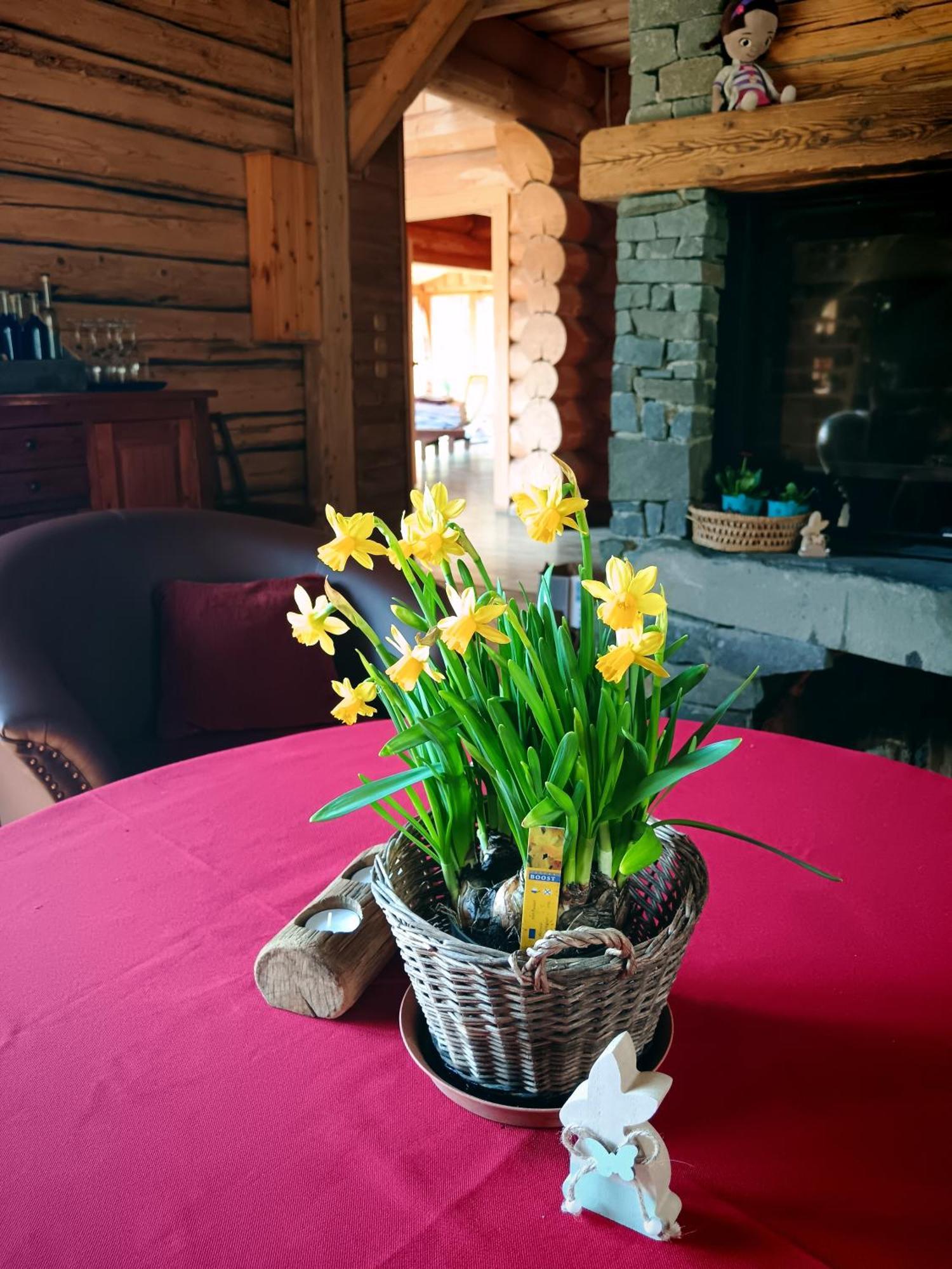 Crossline Lodge Gheorgheni  Extérieur photo