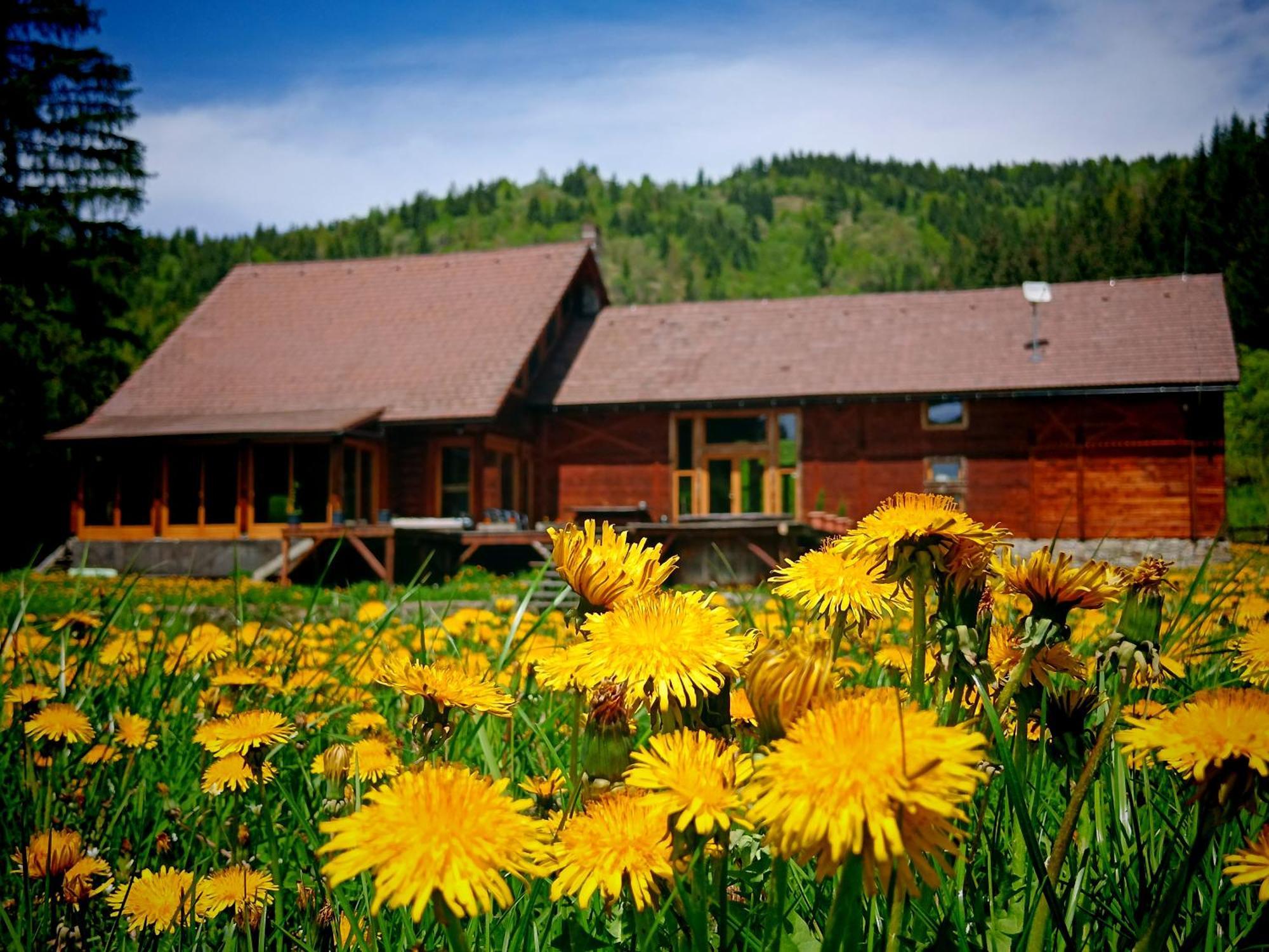 Crossline Lodge Gheorgheni  Extérieur photo